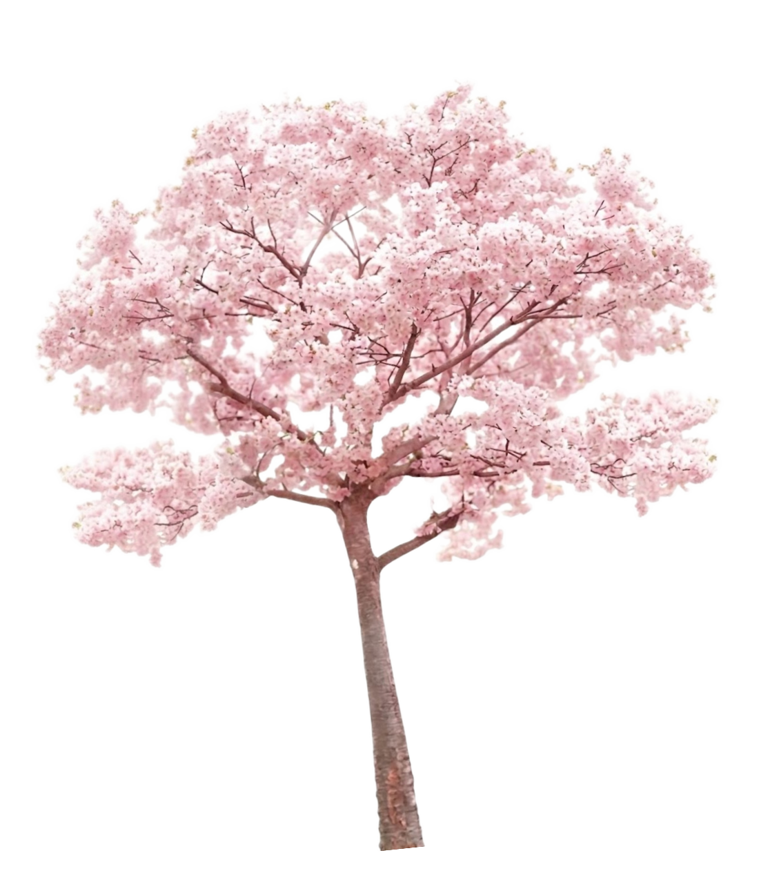Ornamen