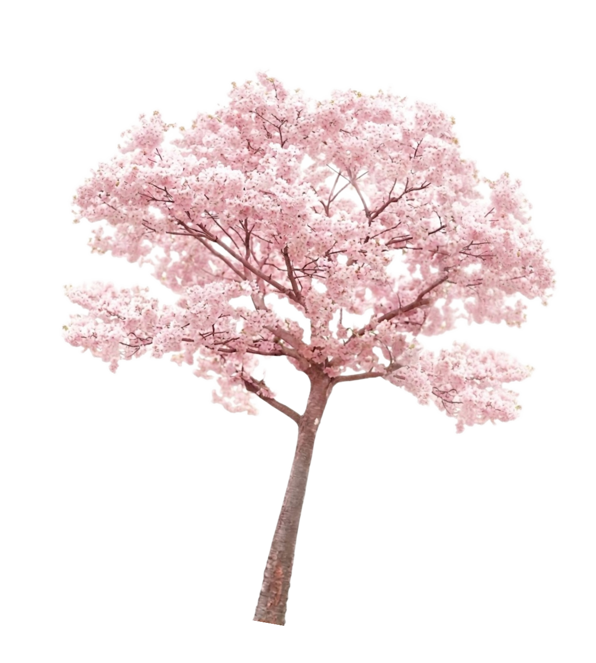 Ornamen