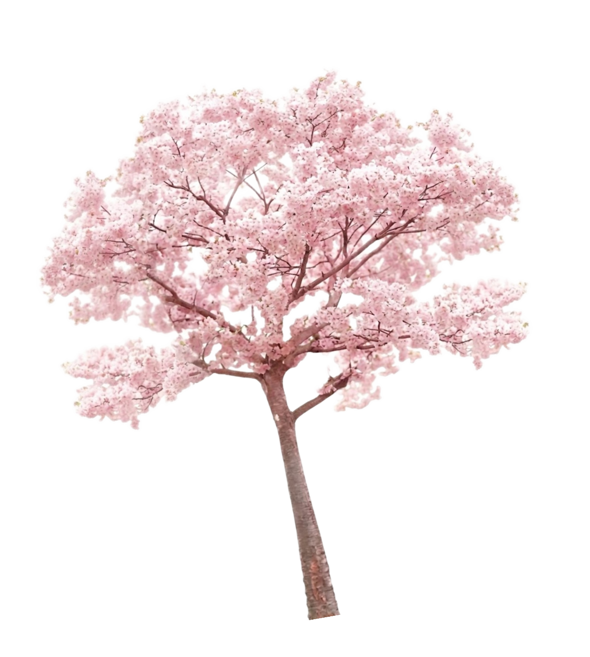Ornamen