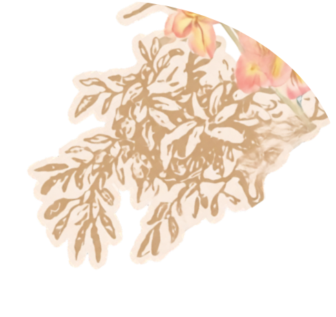 Ornamen