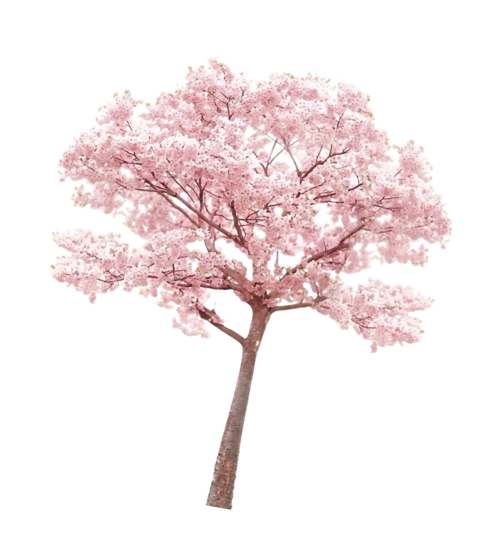 Ornamen
