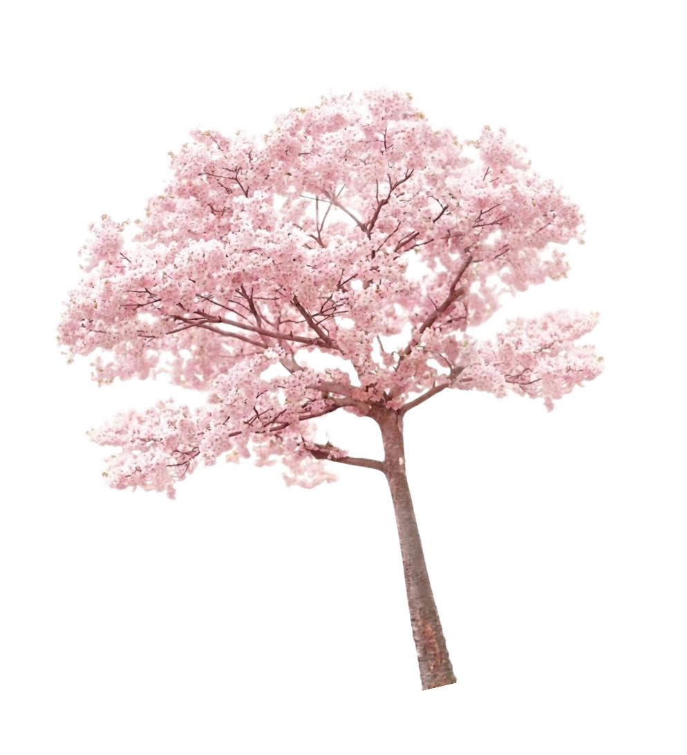 Ornamen