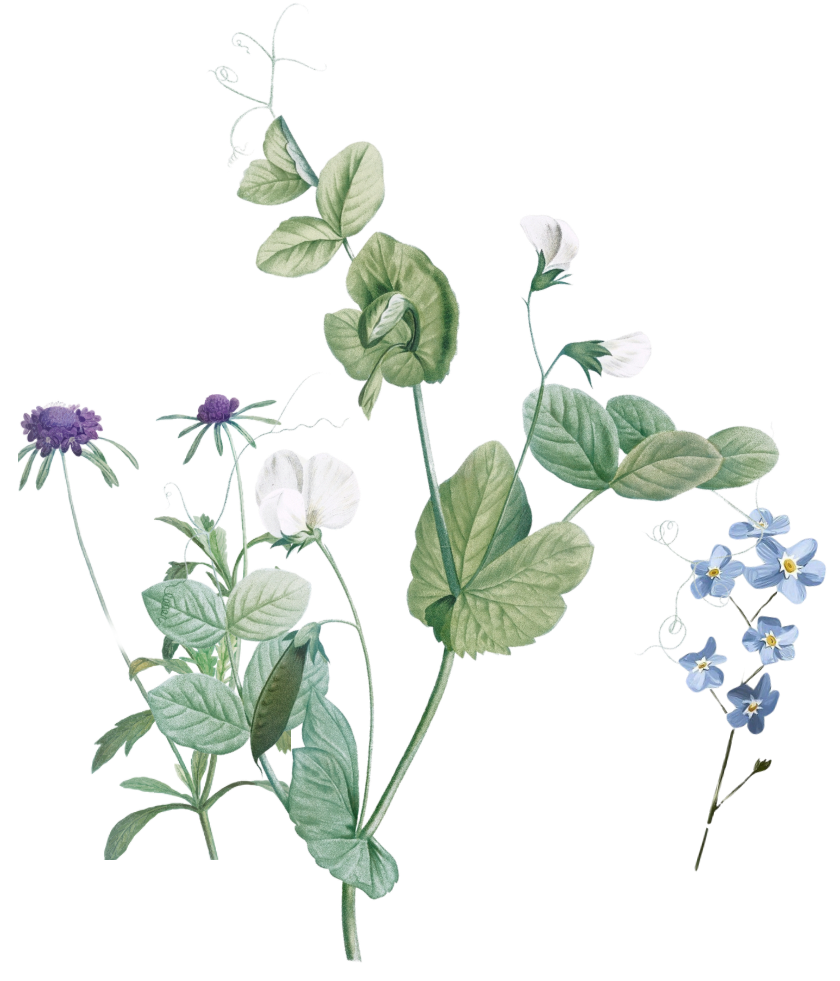 RSVP flower