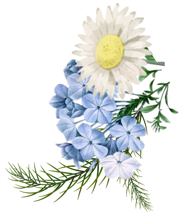 Countdown flower