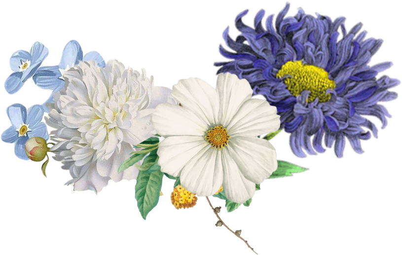 Profile flower