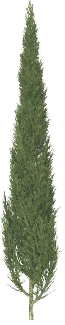 Tree ornament