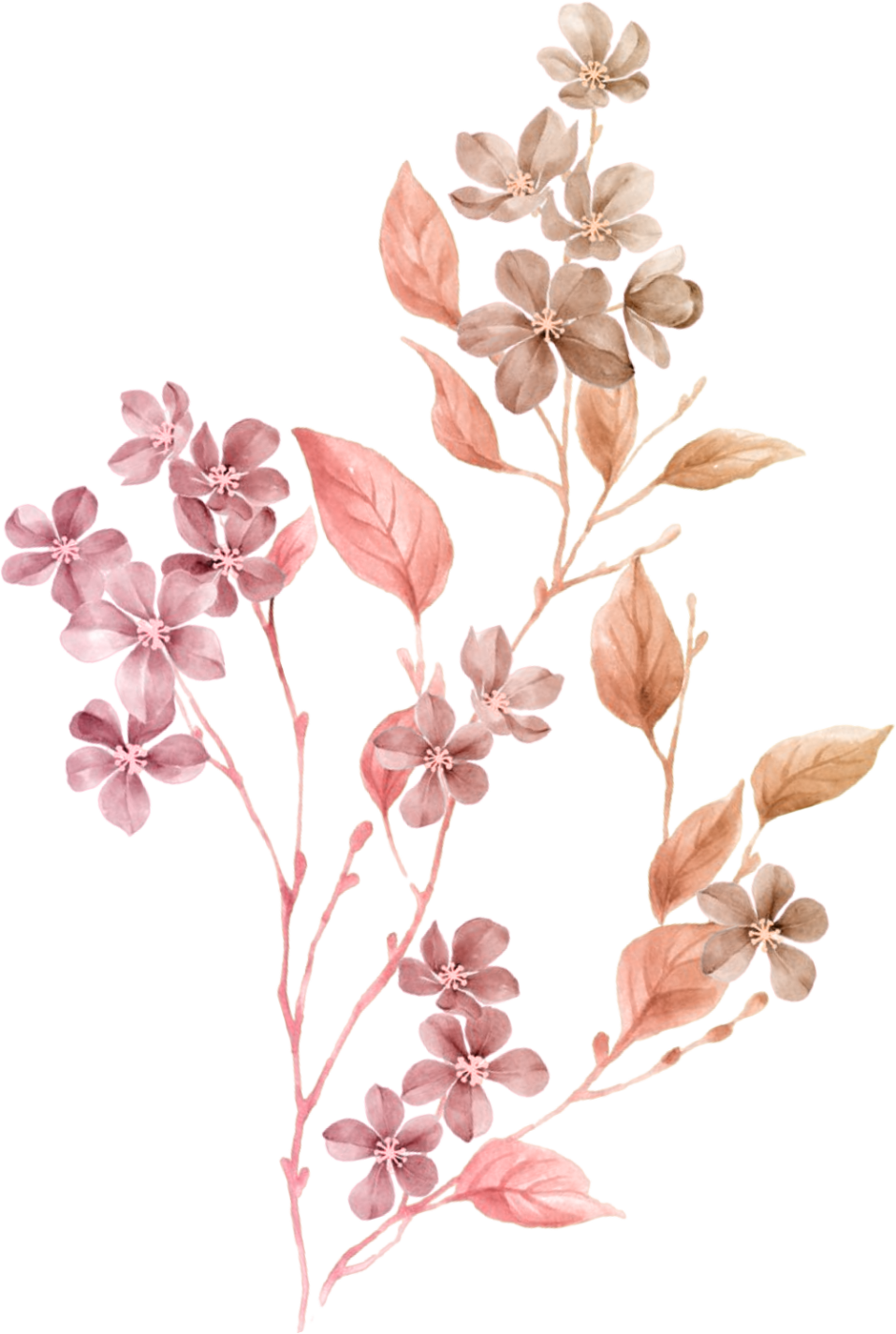 Ornamen